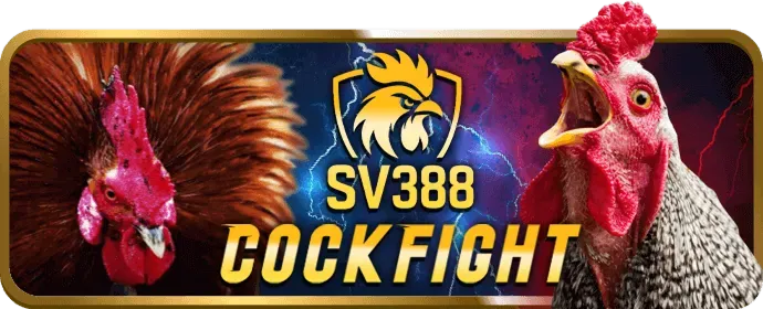 Quy định chung của bong 168