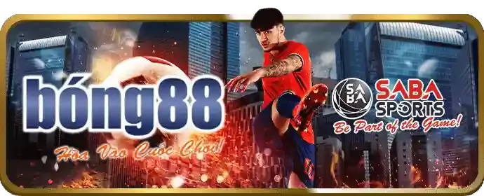 Giải quyết tranh chấp tại bong 168